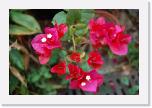 DSC001 (114) * 3008 x 2000 * (1.49MB)